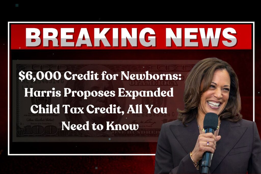 $6,000 Credit for Newborns: Harris Proposes Expanded Child Tax Credit, All You Need to Know