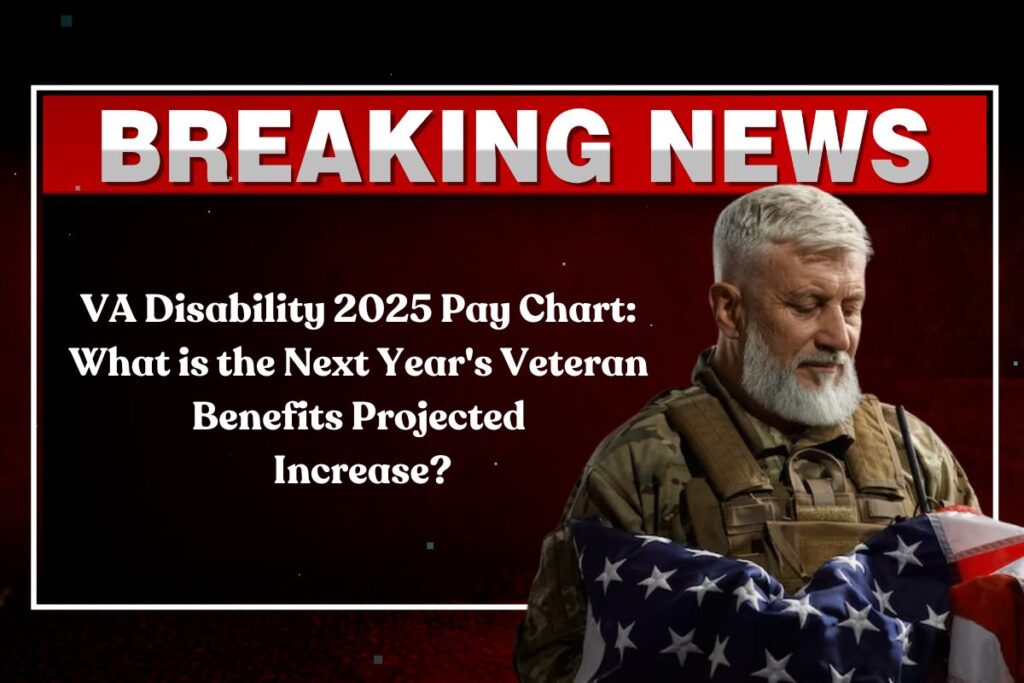 VA Disability 2025 Pay Chart What is the Next Year's Veteran Benefits